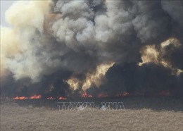 Bolivia: Cháy rừng tàn phá gần 1 triệu ha rừng ở miền Đông