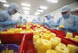 Báo Malaysia: Việt Nam củng cố vị thế trong xuất khẩu trái cây tươi