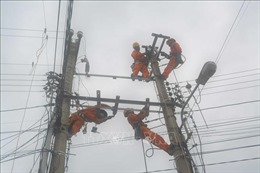 Lưới điện khu vực tỉnh Bình Định an toàn sau bão Noru