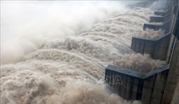 Bình Phước: Ba hồ thủy điện xả lũ, đề phòng ngập lụt vùng hạ du