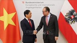 Bộ trưởng Ngoại giao Bùi Thanh Sơn thăm chính thức CH Áo