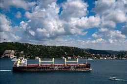 LHQ lạc quan về khả năng gia hạn thỏa thuận xuất khẩu ngũ cốc qua Biển Đen