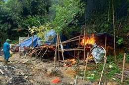 Tiêu hủy lán trại của các đối tượng khai thác vàng trái phép ở Đắk Nông
