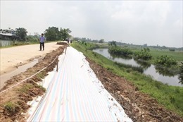 Thanh Hóa: Công bố tình huống khẩn cấp sự cố sụt lún mái đê tả sông Mã dài khoảng 1 km