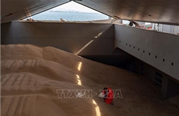 LHQ kêu gọi giải quyết tình trạng ùn tắc tàu chở ngũ cốc qua Biển Đen