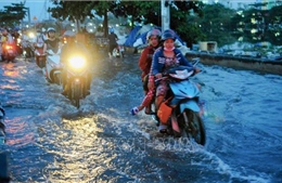 TP Hồ Chí Minh: Triều cường vượt mức báo động 3, nhiều tuyến đường ngập sâu