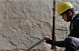 Khai quật những bức chạm khắc trên đá từ thời Đế chế Assyria cổ đại