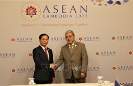 Quan hệ đối tác chiến lược Việt Nam - Philippines phát triển tích cực