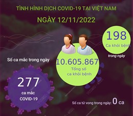 Ngày 12/11: Có 277 ca COVID-19 mới, 198 F0 khỏi bệnh