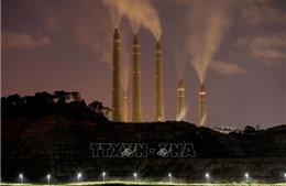 Ai Cập ký kết 7 thỏa thuận cắt giảm carbon với các công ty toàn cầu