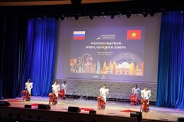 Ngày hội Việt Nam tại Đại học tổng hợp Tài chính (LB Nga)