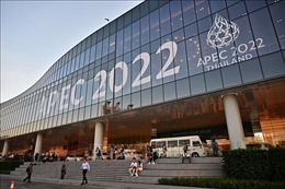 Tuần lễ Cấp cao APEC 2022: Dự thảo &#39;Các mục tiêu Bangkok&#39; về mô hình kinh tế BCG