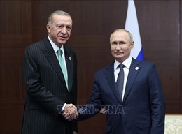 Nga, Thổ Nhĩ Kỳ thảo luận về việc thành lập trung tâm khí đốt