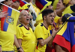 WORLD CUP 2022: Người dân Ecuador đổ ra đường ăn mừng chiến thắng lịch sử