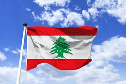 Điện mừng Quốc khánh nước Cộng hòa Lebanon