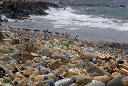 WWF kêu gọi xây dựng một hiệp ước toàn cầu ngăn chặn ô nhiễm rác thải nhựa
