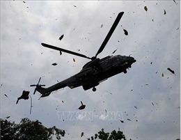 Rơi trực thăng quân sự ở Algeria khiến 3 người thiệt mạng