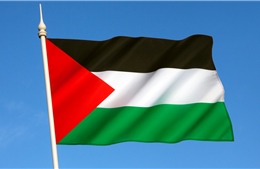 Chủ tịch nước gửi Điện mừng nhân ngày Quốc tế đoàn kết với nhân dân Palestine