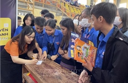 Tư vấn hướng nghiệp, giới thiệu việc làm cho sinh viên, học sinh Thừa Thiên - Huế