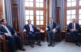 Thủ tướng Chính phủ Phạm Minh Chính hội đàm với Thủ tướng Hà Lan Mark Rutte