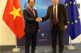 Hoạt động của Bộ trưởng Ngoại giao Bùi Thanh Sơn tại Bỉ