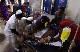 Ít nhất 22 người tử vong vì ngộ độc rượu tại Ấn Độ
