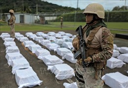 Panama thu giữ lượng ma túy kỷ lục