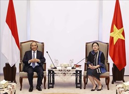 Quốc hội Indonesia mong muốn thúc đẩy hợp tác toàn diện với Việt Nam