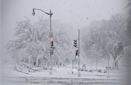 Hàng chục triệu người Mỹ đối mặt với cơn bão mùa đông gây ra cái lạnh thấu xương