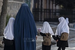 Mỹ, Anh, EU hối thúc Taliban rút lại lệnh cấm mới đối với phụ nữ
