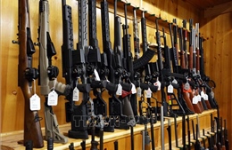 Chính phủ Canada cân nhắc mua lại vũ khí trong dân