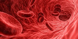Công nghệ mới chẩn đoán bệnh bằng cách xác định tế bào chết trong máu