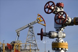 Giá dầu châu Á sụt giảm trong phiên đầu tuần