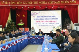 Trưởng Ban Tổ chức Trung ương chúc Tết Đảng bộ và nhân dân tỉnh Hòa Bình