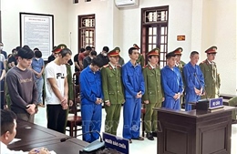 Tuyên phạt 52 bị cáo trong vụ đánh bạc lớn nhất Quảng Trị