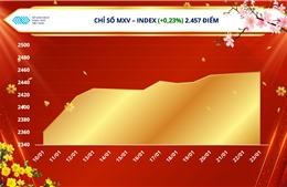 Thị trường hàng hoá giằng co khi châu Á đang trong kỳ nghỉ Tết Nguyên đán