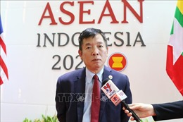 Việt Nam dự chuỗi cuộc họp của ASEAN với các đối tác