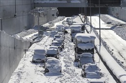 Bão tuyết gây gián đoạn hoạt động ở thủ đô Athens (Hy Lạp)