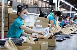 TP Hồ Chí Minh thu hút lao động ngành dịch vụ và công nghiệp