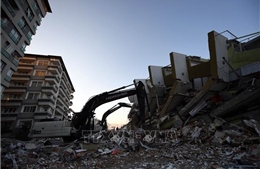 Động đất có thể khiến Thổ Nhĩ Kỳ thiệt hại tới 84,1 tỷ USD