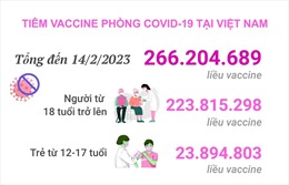 Tình hình tiêm vaccine phòng COVID-19 tại Việt Nam tính đến hết ngày 14/2/2023
