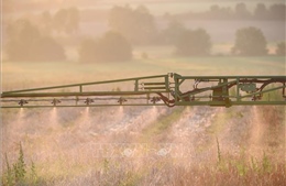 Pháp ngừng sử dụng thuốc diệt cỏ S-metolachlor