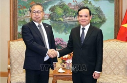 Thúc đẩy hợp tác kinh tế, thương mại, đầu tư Việt Nam - Nhật Bản