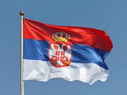 Điện chúc mừng Quốc khánh nước Cộng hòa Serbia