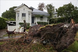 Điện thăm hỏi New Zealand bị ảnh hưởng bởi cơn bão Gabrielle