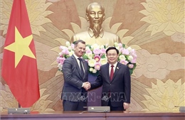 Chủ tịch Quốc hội Vương Đình Huệ tiếp Phó Chủ tịch thứ nhất Hội đồng Liên bang Nga 