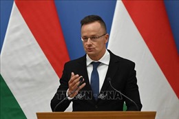 Hungary chỉ trích gói trừng phạt thứ 10 của EU chống Nga
