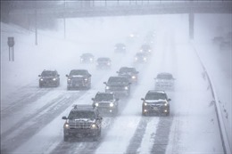 Miền Bắc nước Mỹ ứng phó bão tuyết kỷ lục