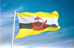 Điện mừng Quốc khánh Brunei Darussalam