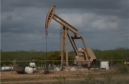 Mỹ: Giảm số giàn khoan dầu mỏ và khí đốt đang hoạt động